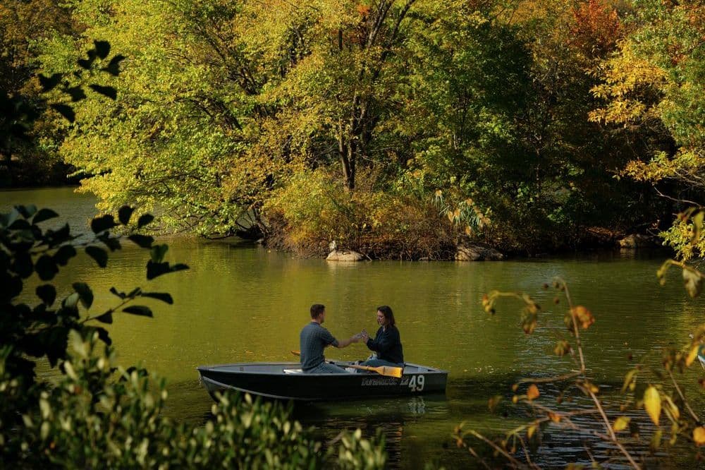 A rowboat on the Lake in Central Park surrounded by fall trees